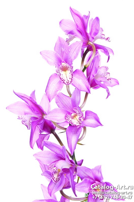 картинки для фотопечати на потолках, идеи, фото, образцы - Потолки с фотопечатью - Розовые орхидеи 48